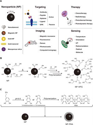 Polyglycerol/Polydopamine-Coated Nanoparticles for Biomedical Applications